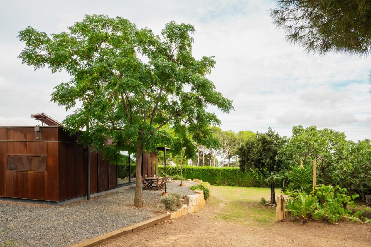 Menta House Preciosa Eco-Casa Con Gran Jardin Y Barbacoa Βίλα Alcover Εξωτερικό φωτογραφία