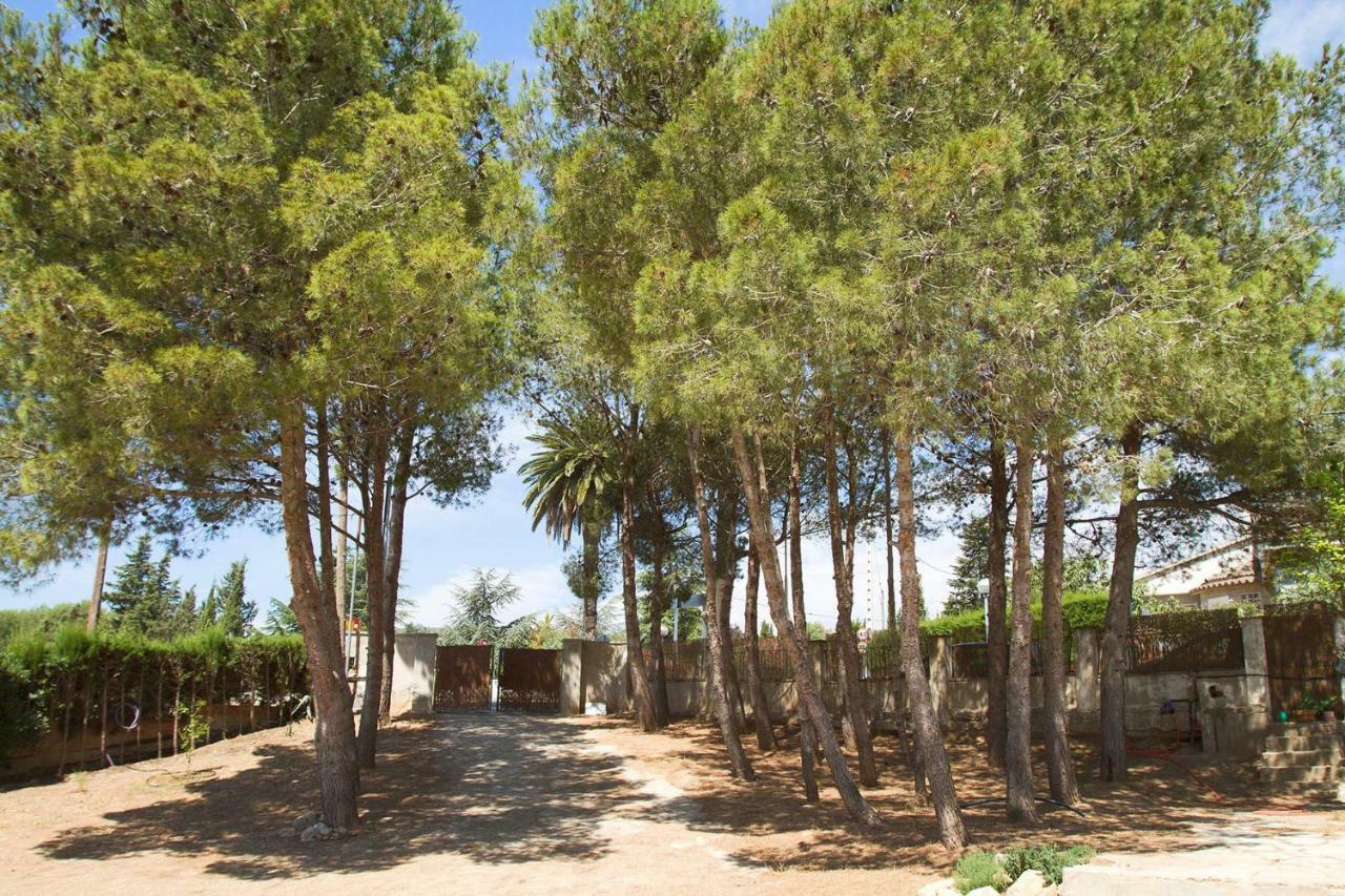 Menta House Preciosa Eco-Casa Con Gran Jardin Y Barbacoa Βίλα Alcover Εξωτερικό φωτογραφία